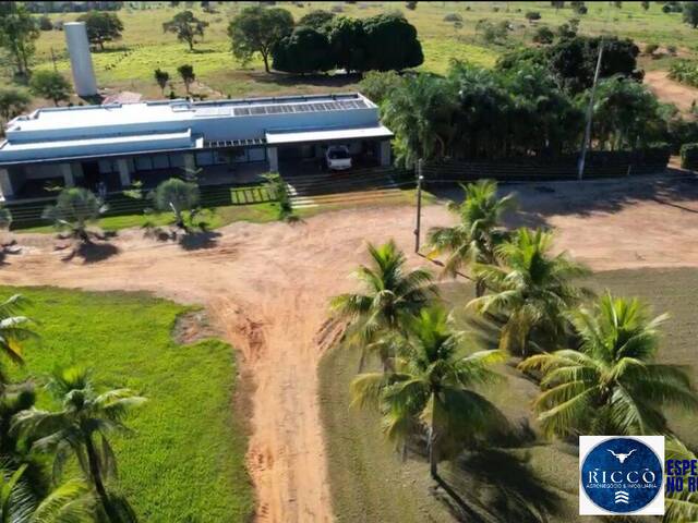 #3767 - Fazenda para Venda em Araguaçu - TO