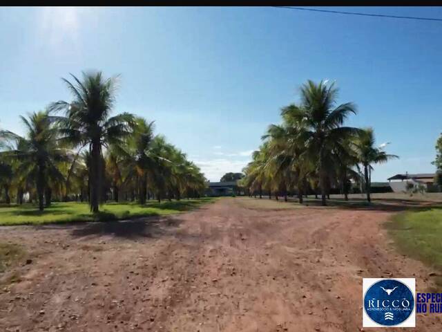 #3767 - Fazenda para Venda em Araguaçu - TO