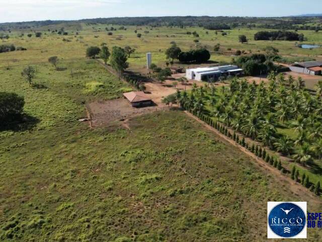 #3767 - Fazenda para Venda em Araguaçu - TO