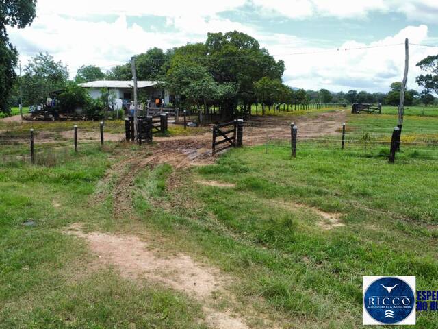 #3768 - Fazenda para Venda em Palmeirópolis - TO