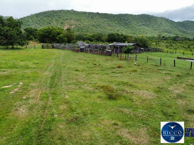 #3768 - Fazenda para Venda em Palmeirópolis - TO