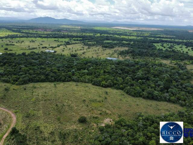 Fazenda para Venda em Palmeirópolis - 4