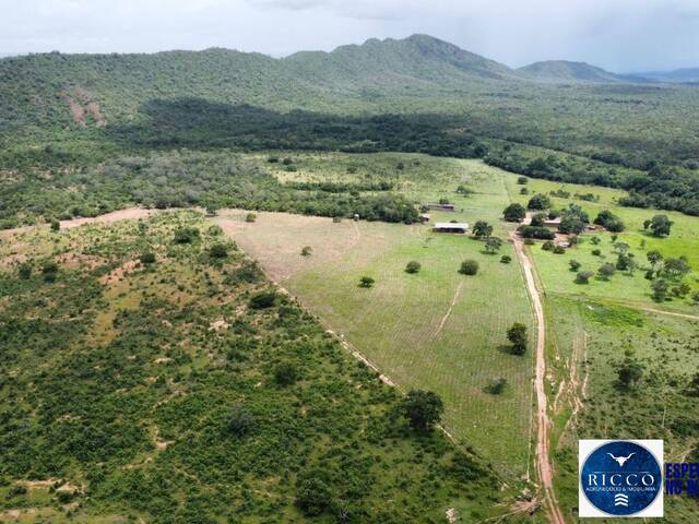 #3768 - Fazenda para Venda em Palmeirópolis - TO