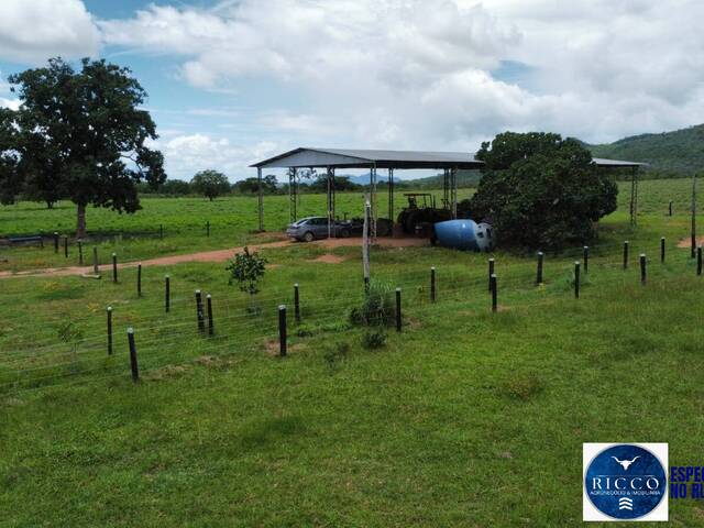 Fazenda para Venda em Palmeirópolis - 5