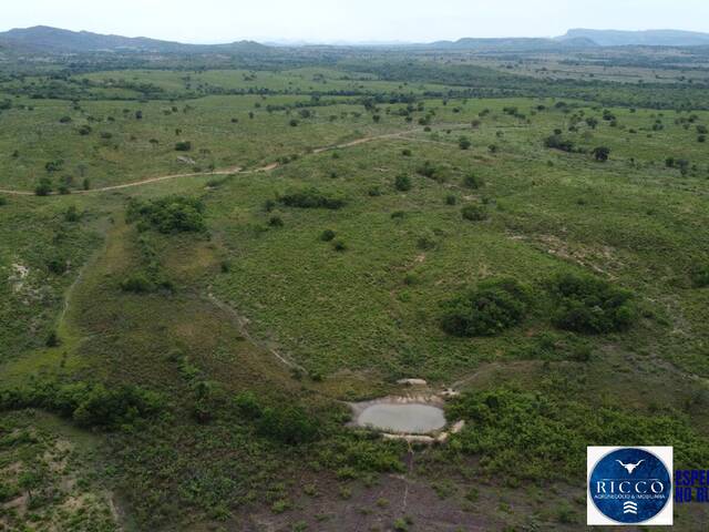 #3769 - Fazenda para Venda em Paranã - TO