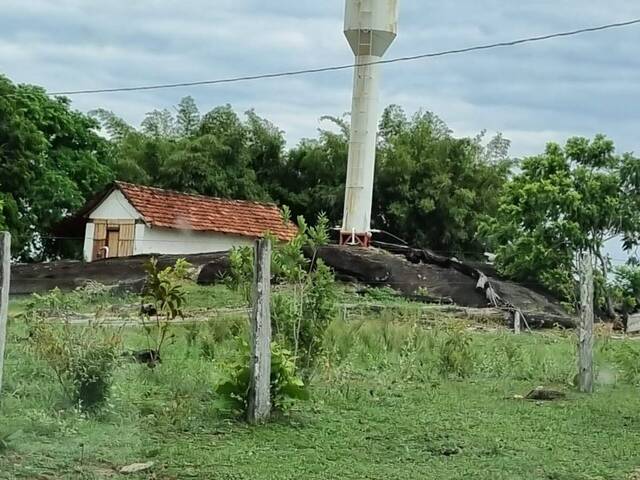 #3769 - Fazenda para Venda em Paranã - TO