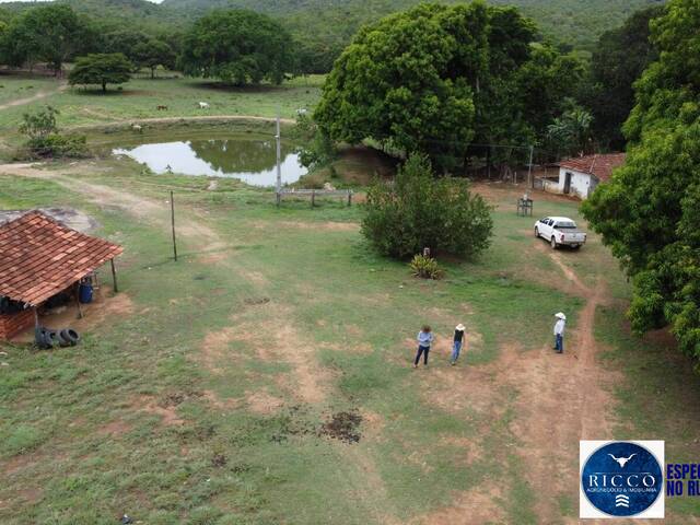 Fazenda para Venda em Paranã - 4