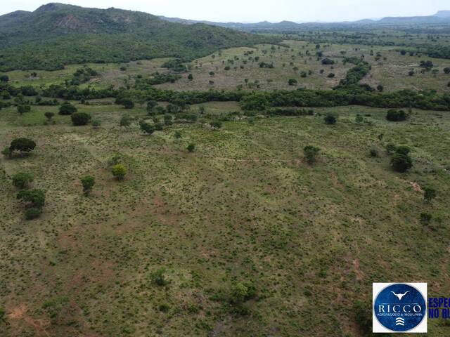 Fazenda para Venda em Paranã - 5