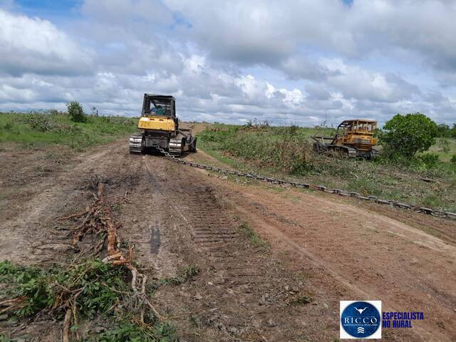 #3770 - Fazenda para Venda em Paranã - TO