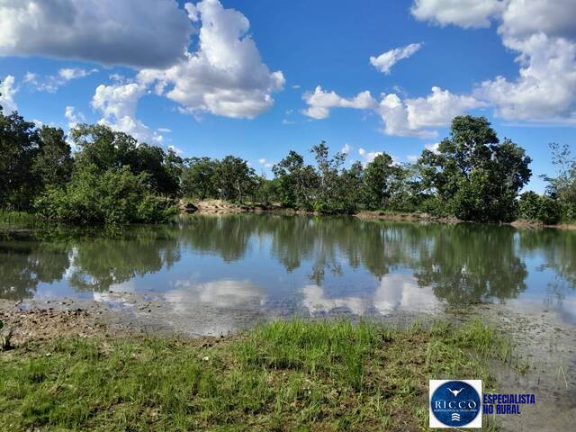 #3770 - Fazenda para Venda em Paranã - TO