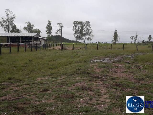 #3771 - Fazenda para Venda em Paranã - TO
