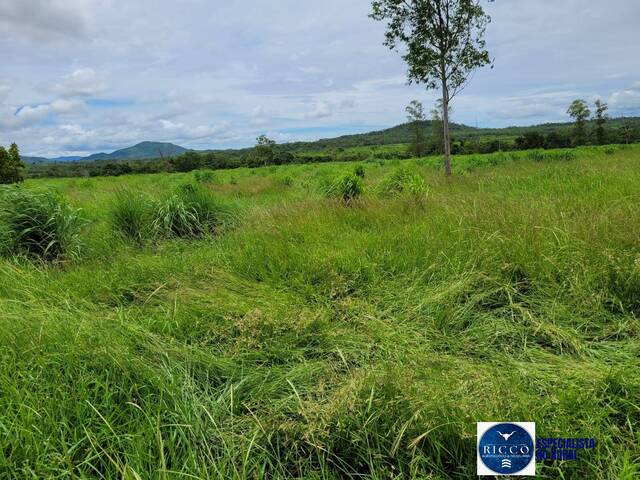 Fazenda para Venda em Paranã - 5