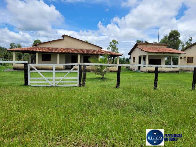 #3771 - Fazenda para Venda em Paranã - TO