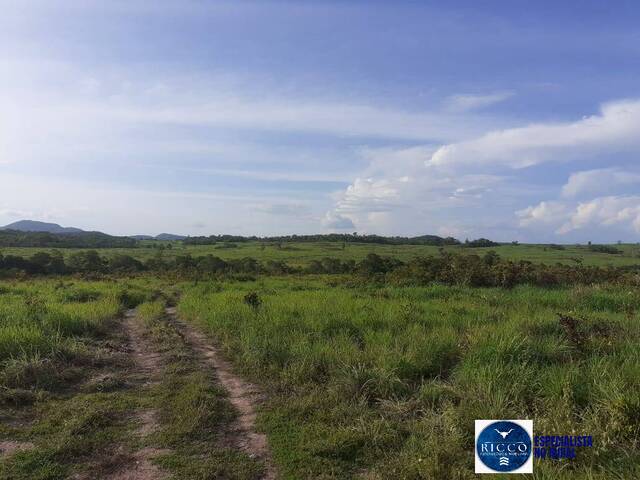 #3771 - Fazenda para Venda em Paranã - TO