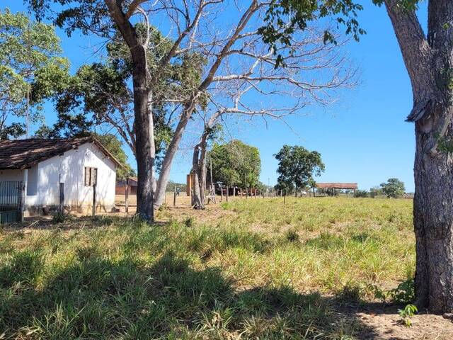 #3772 - Fazenda para Venda em Paranã - TO
