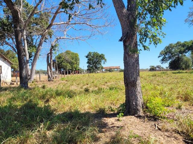 Fazenda para Venda em Paranã - 4
