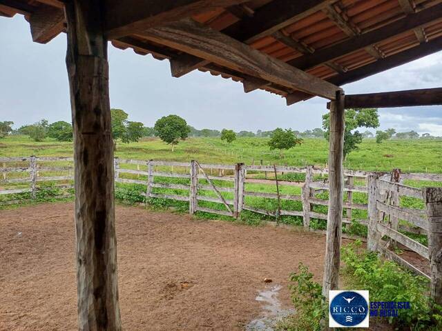 #3772 - Fazenda para Venda em Paranã - TO