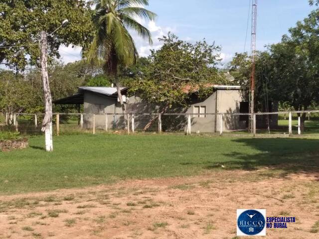 Fazenda para Venda em Paranã - 5