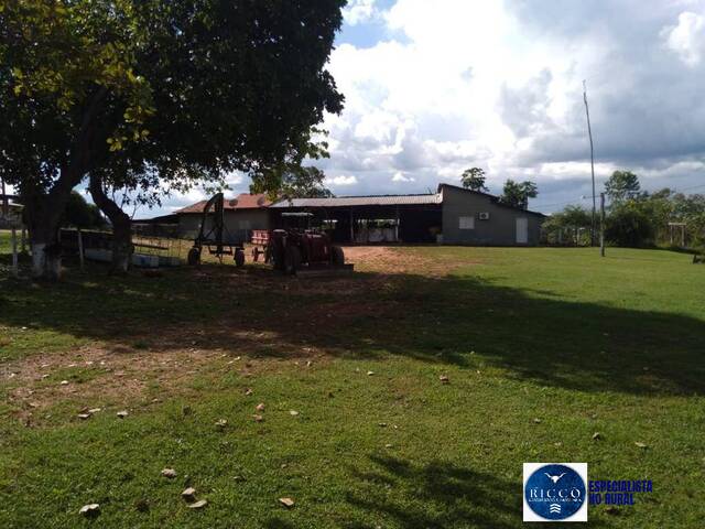 #3773 - Fazenda para Venda em Paranã - TO