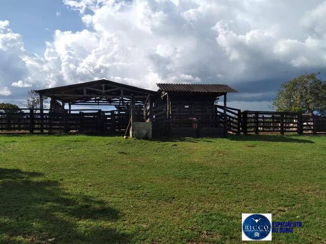 #3773 - Fazenda para Venda em Paranã - TO