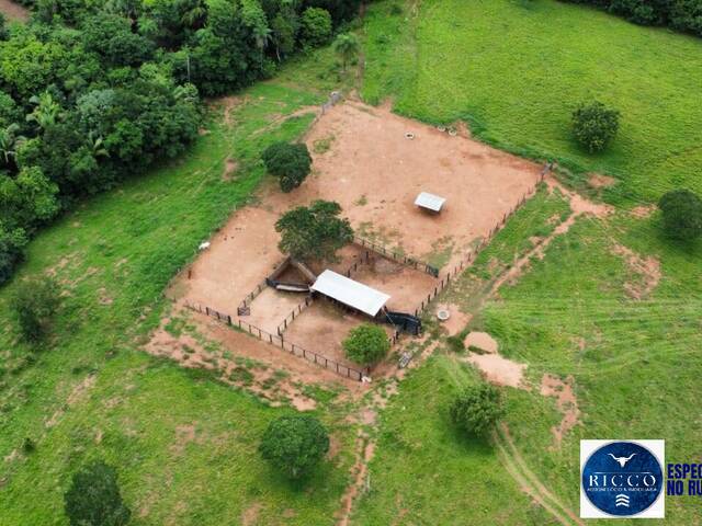 #3774 - Fazenda para Venda em São Salvador do Tocantins - TO