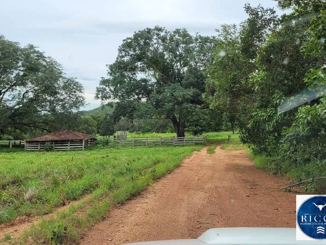 #3774 - Fazenda para Venda em São Salvador do Tocantins - TO