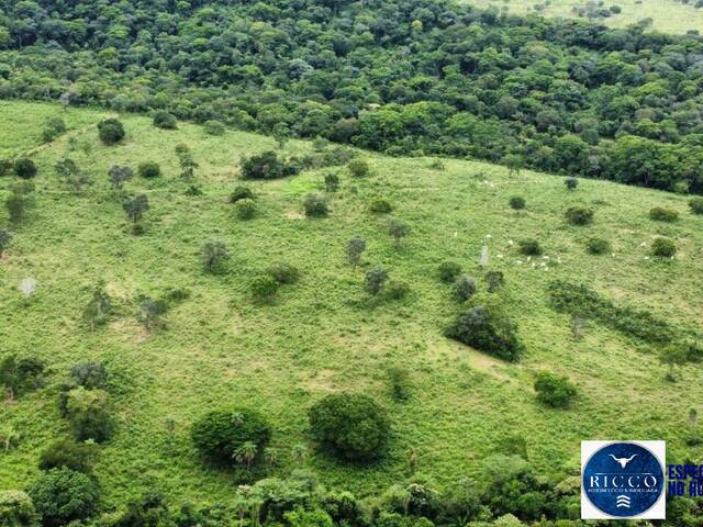 Fazenda para Venda em São Salvador do Tocantins - 5