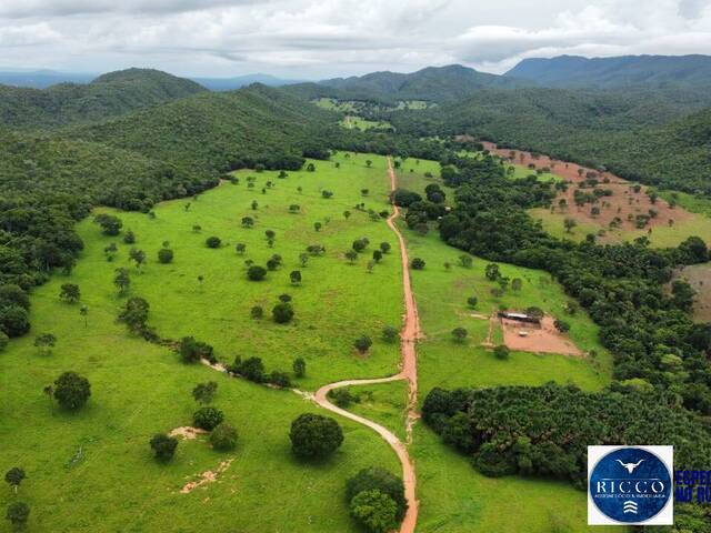 #3774 - Fazenda para Venda em São Salvador do Tocantins - TO