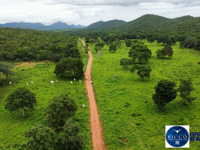 #3774 - Fazenda para Venda em São Salvador do Tocantins - TO