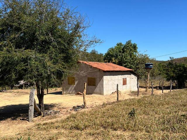 #3776 - Fazenda para Venda em Cavalcante - GO