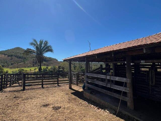 #3776 - Fazenda para Venda em Cavalcante - GO