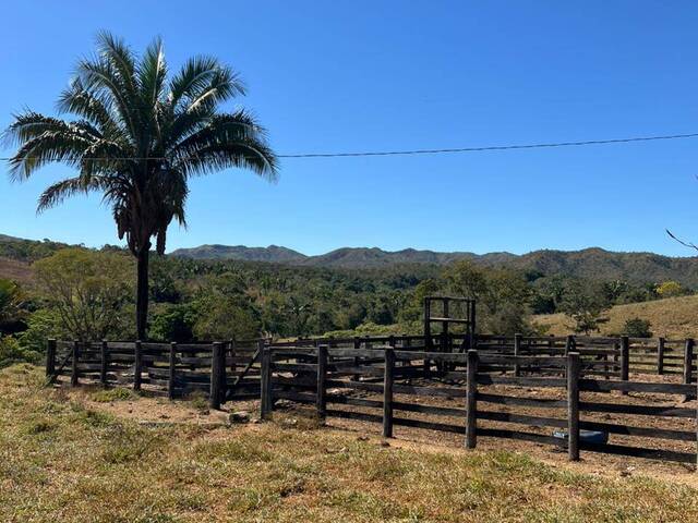 #3776 - Fazenda para Venda em Cavalcante - GO