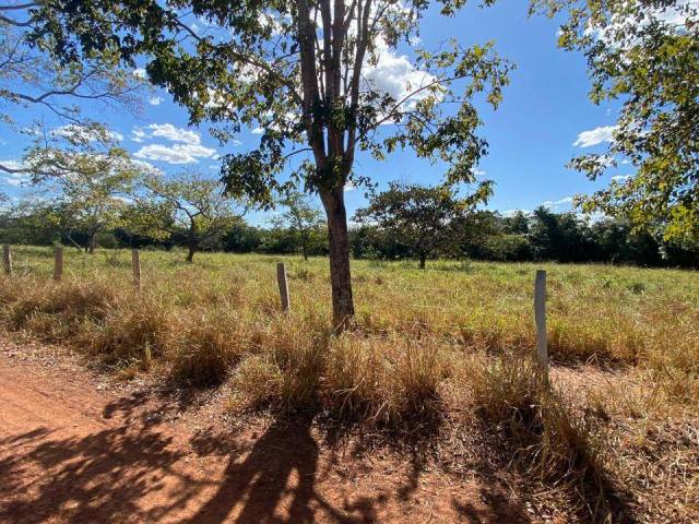 Fazenda para Venda em Mundo Novo - 5