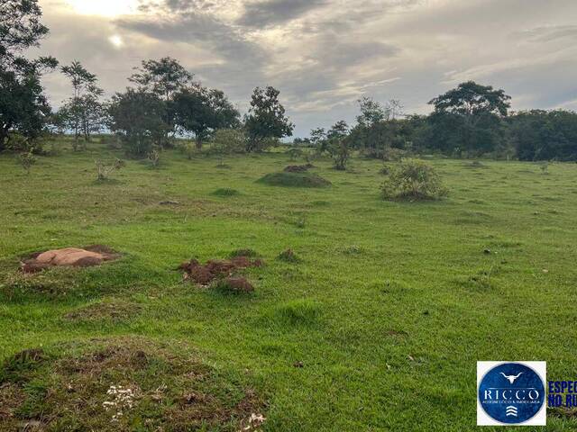 #3778 - Fazenda para Venda em Caiapônia - GO