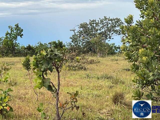 #3778 - Fazenda para Venda em Caiapônia - GO