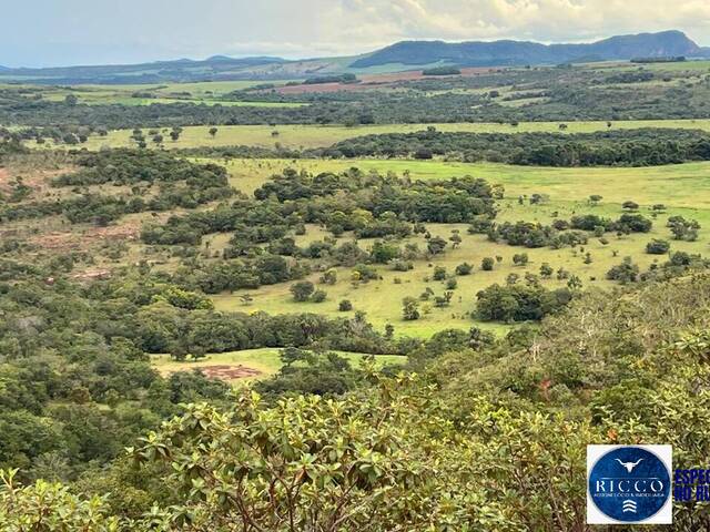 #3778 - Fazenda para Venda em Caiapônia - GO