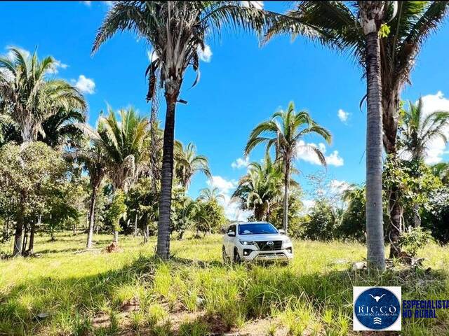 #3781 - Fazenda para Venda em Barra do Garças - MT