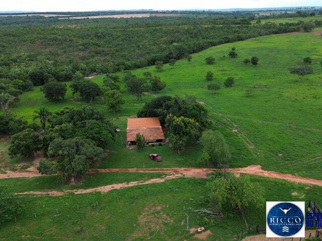 #3781 - Fazenda para Venda em Barra do Garças - MT