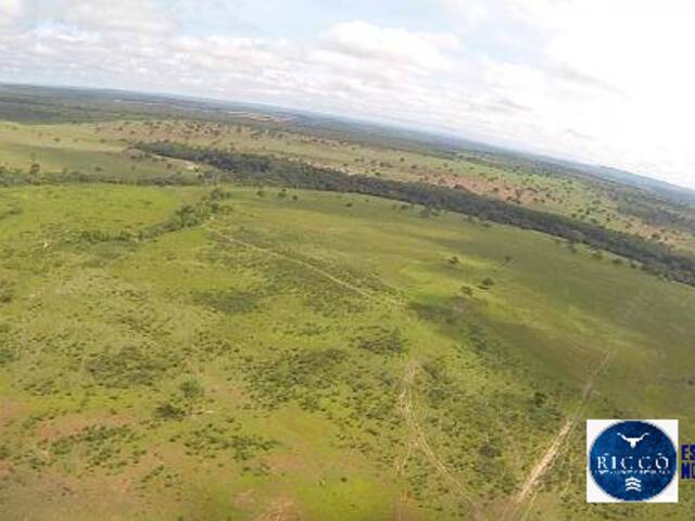 #3782 - Fazenda para Venda em Pontal do Araguaia - MT