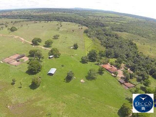 #3782 - Fazenda para Venda em Pontal do Araguaia - MT