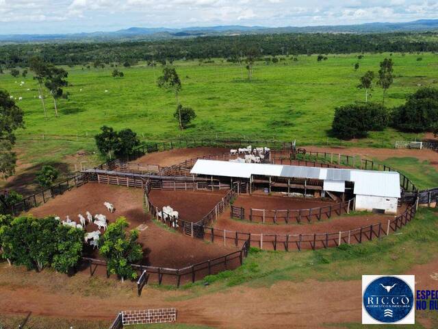 #3783 - Fazenda para Venda em Dois Irmãos do Tocantins - TO