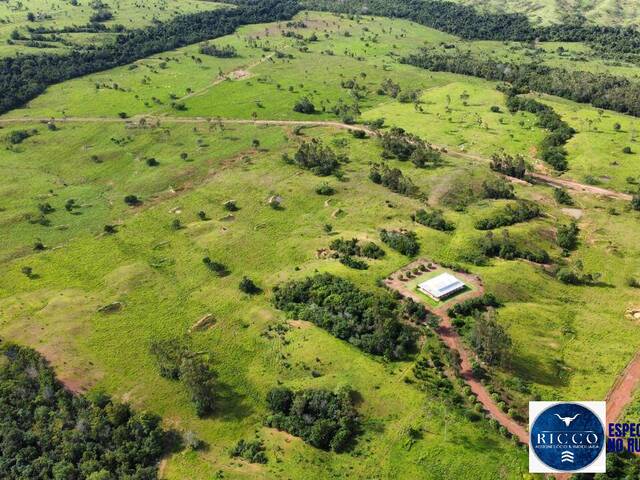 #3783 - Fazenda para Venda em Dois Irmãos do Tocantins - TO