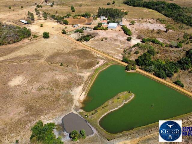 #3784 - Fazenda para Venda em Dois Irmãos do Tocantins - TO