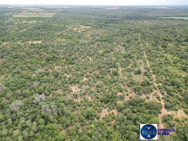 #3787 - Fazenda para Venda em Alvorada - TO