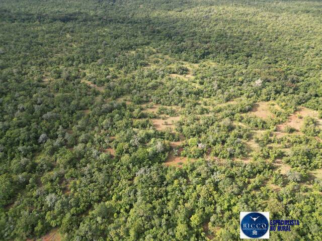 Fazenda para Venda em Alvorada - 4