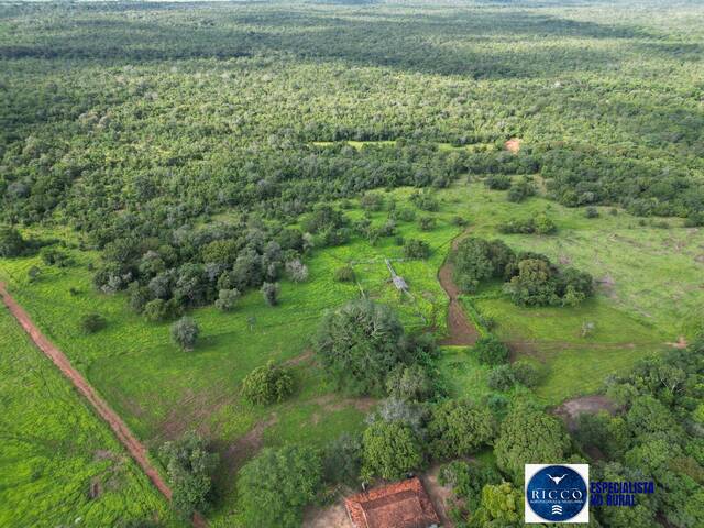 Fazenda para Venda em Alvorada - 5