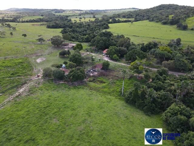 Fazenda para Venda em Itapuranga - 5