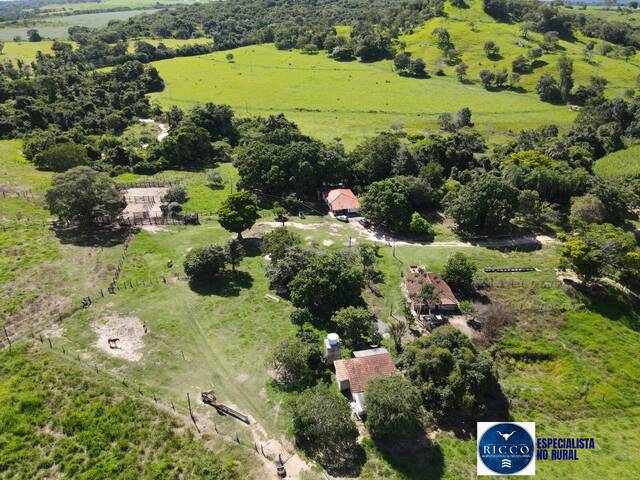#3788 - Fazenda para Venda em Itapuranga - GO