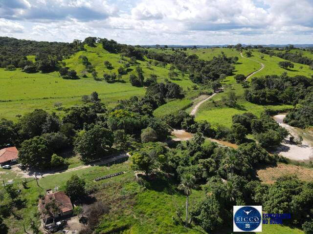 #3788 - Fazenda para Venda em Itapuranga - GO