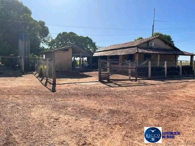 #3790 - Fazenda para Venda em Dois Irmãos do Tocantins - TO